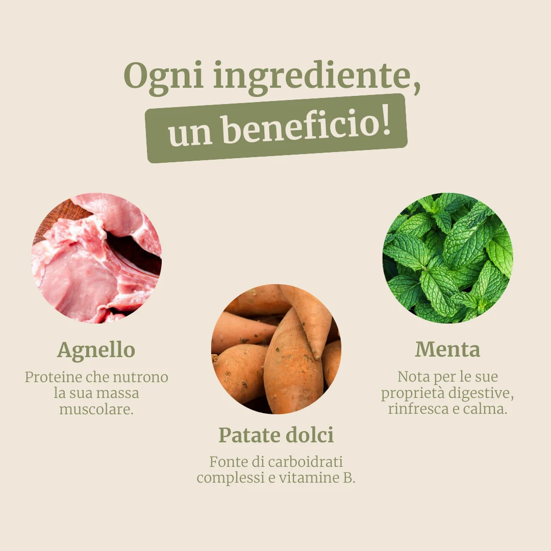 Immagine prodotto 3