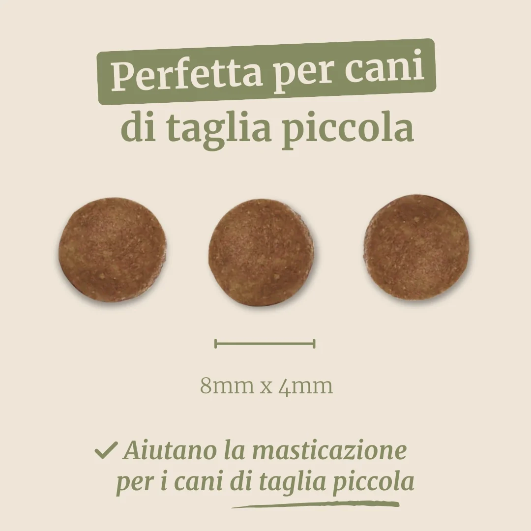 Immagine prodotto 7