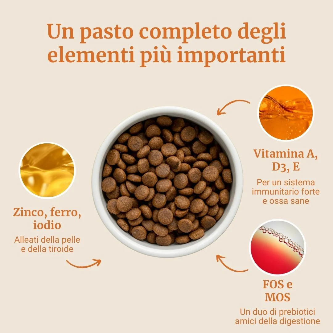 Immagine prodotto 4