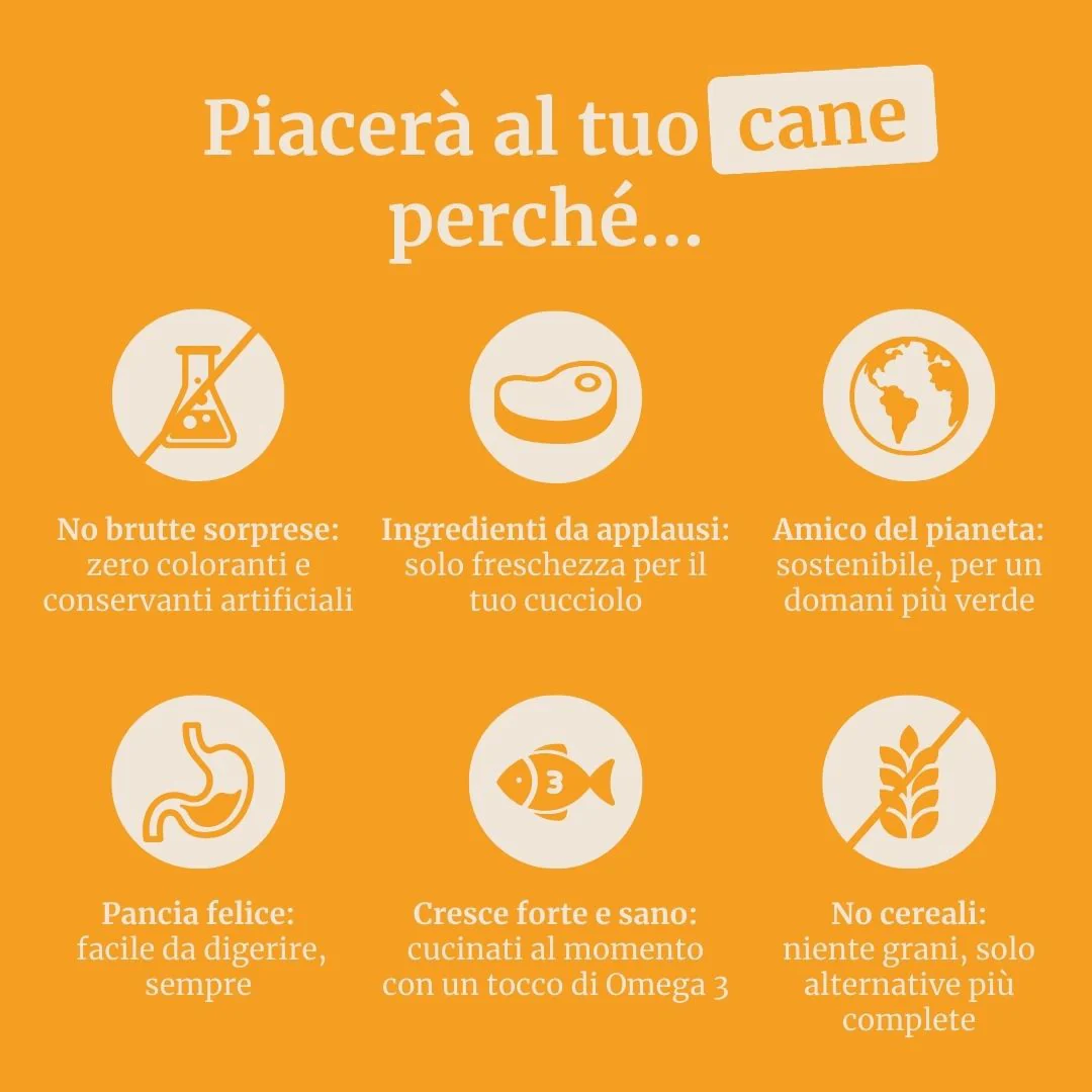 Immagine prodotto 6