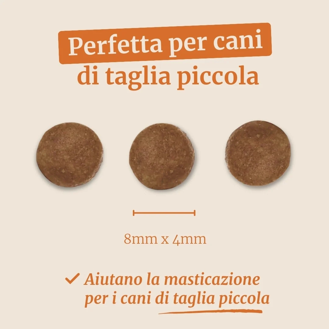 Immagine prodotto 7