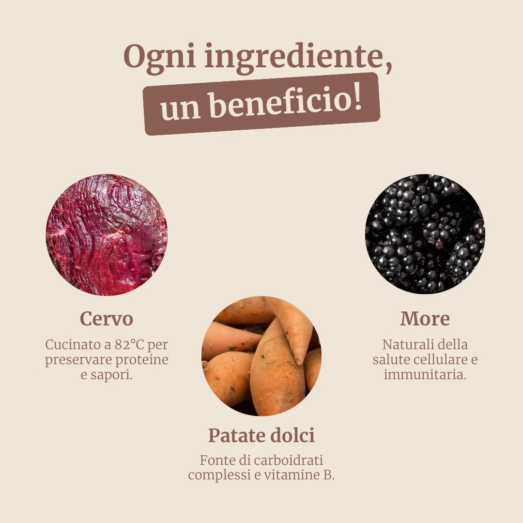 Immagine prodotto 3