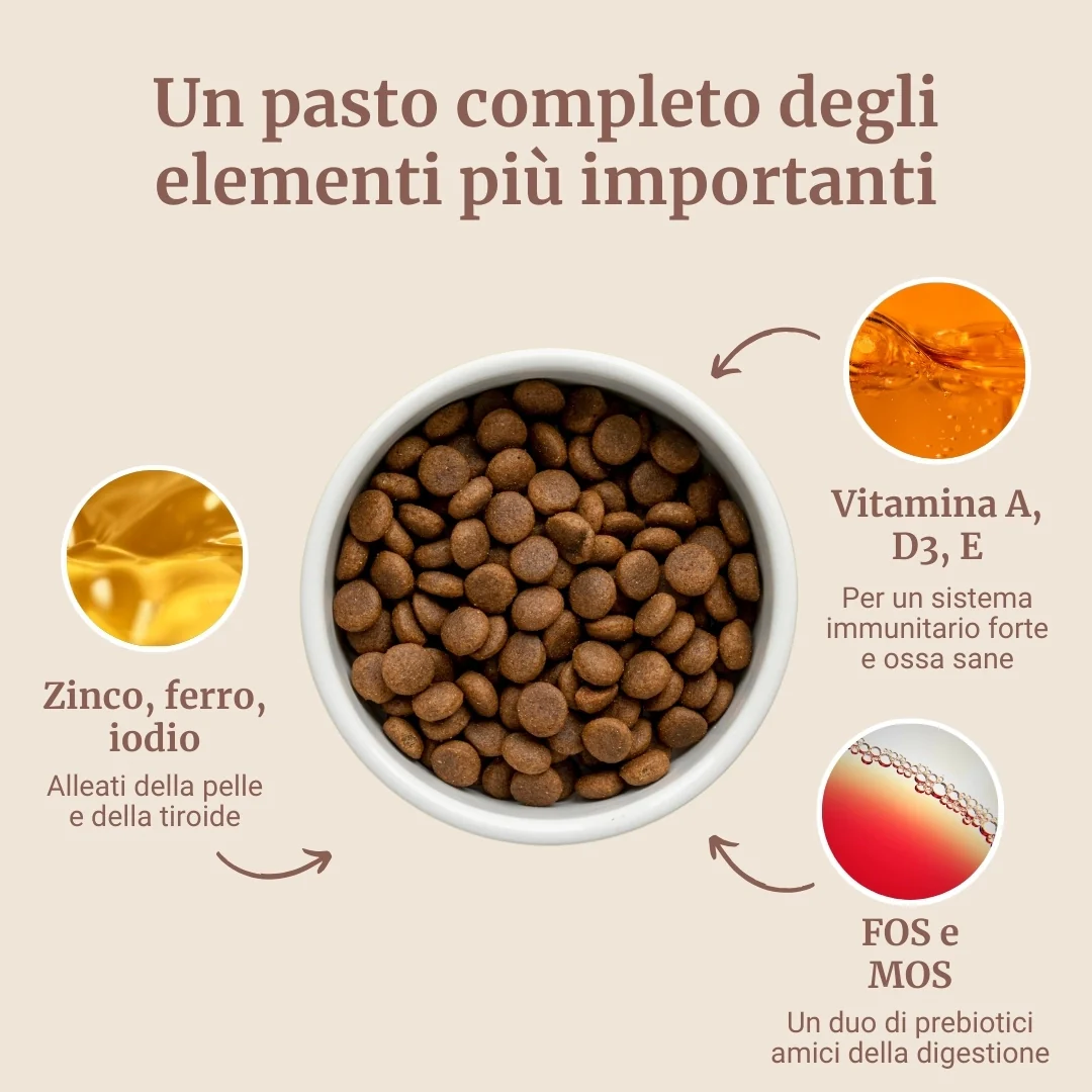 Immagine prodotto 4