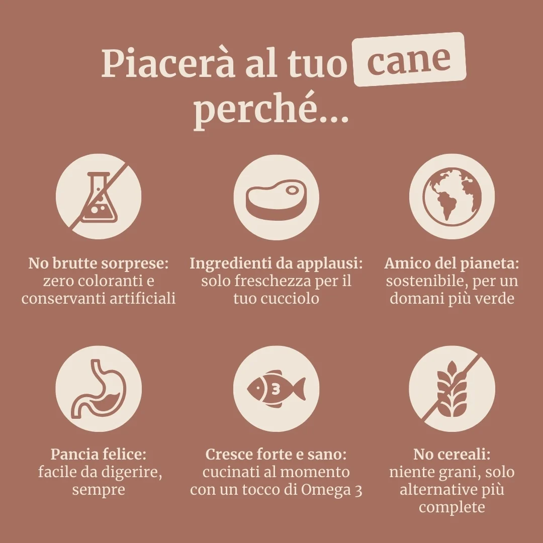 Immagine prodotto 6
