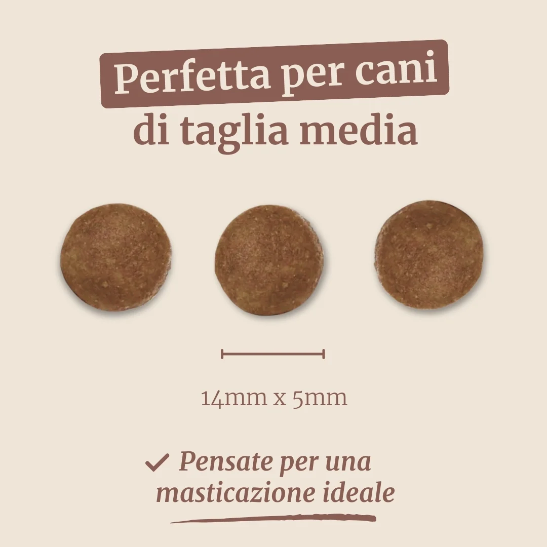 Immagine prodotto 7