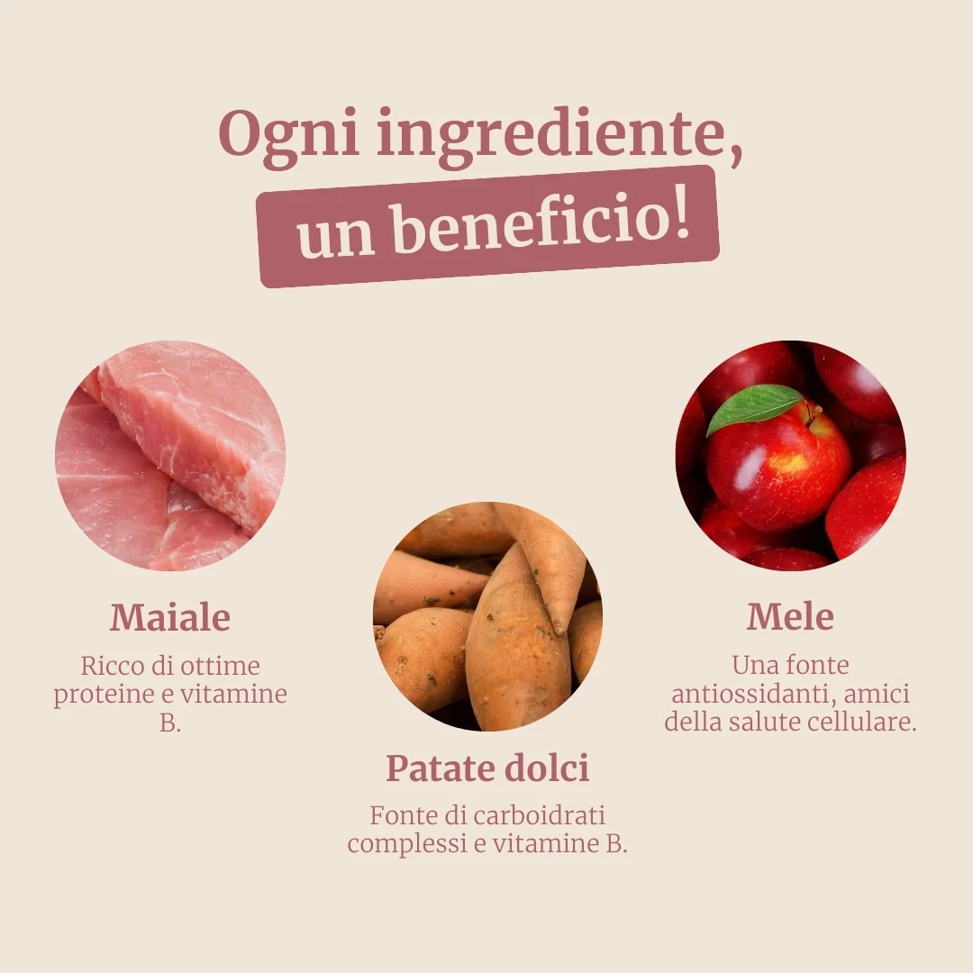 Immagine prodotto 3
