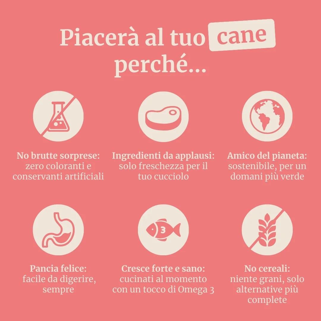 Immagine prodotto 6