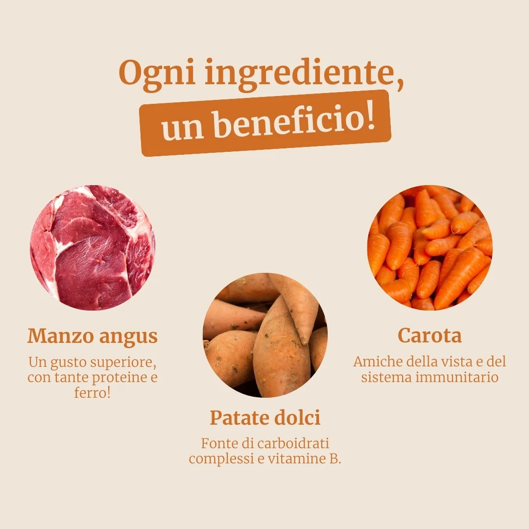 Immagine prodotto 3
