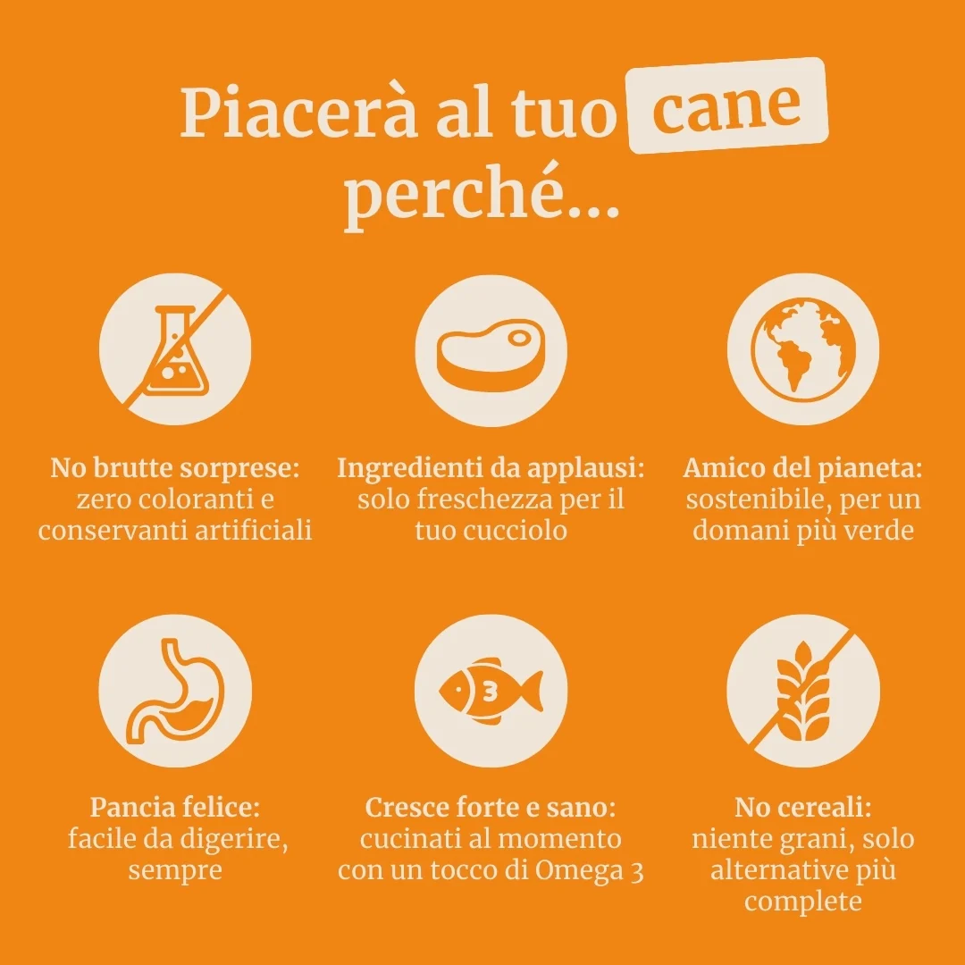 Immagine prodotto 6
