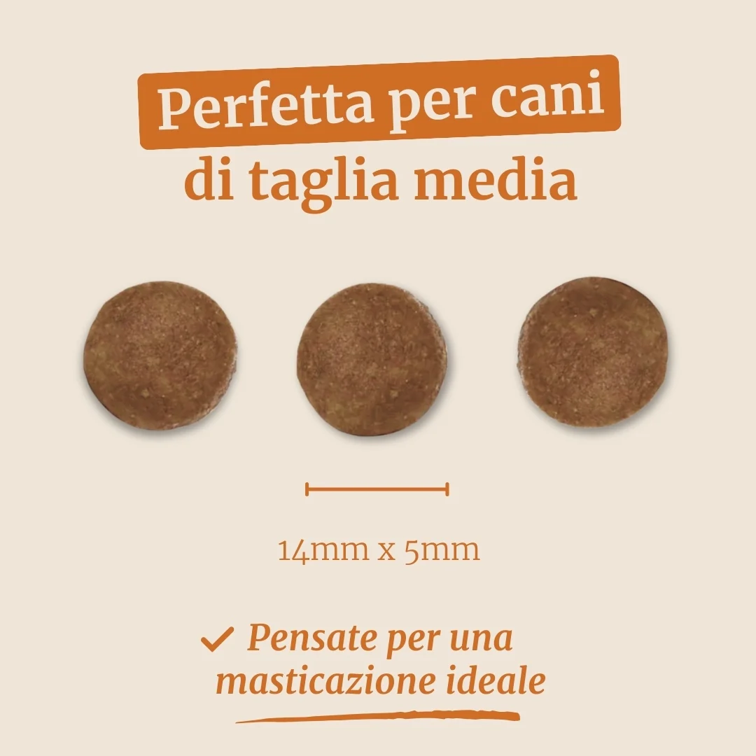 Immagine prodotto 7