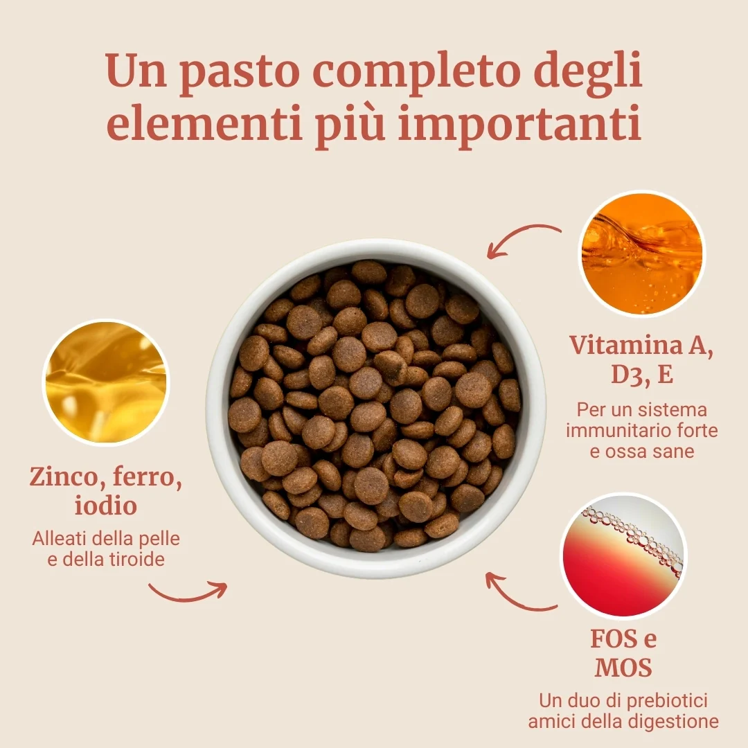Immagine prodotto 4