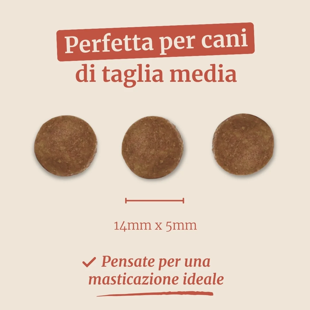 Immagine prodotto 7