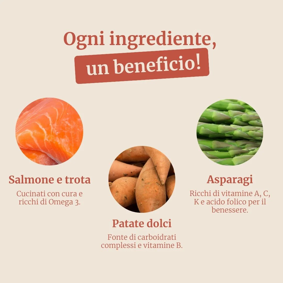 Immagine prodotto 3