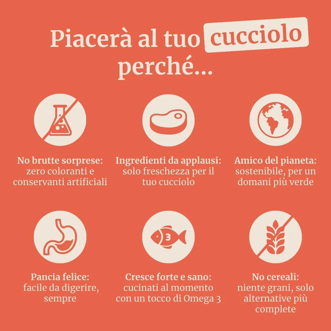 Immagine prodotto 6