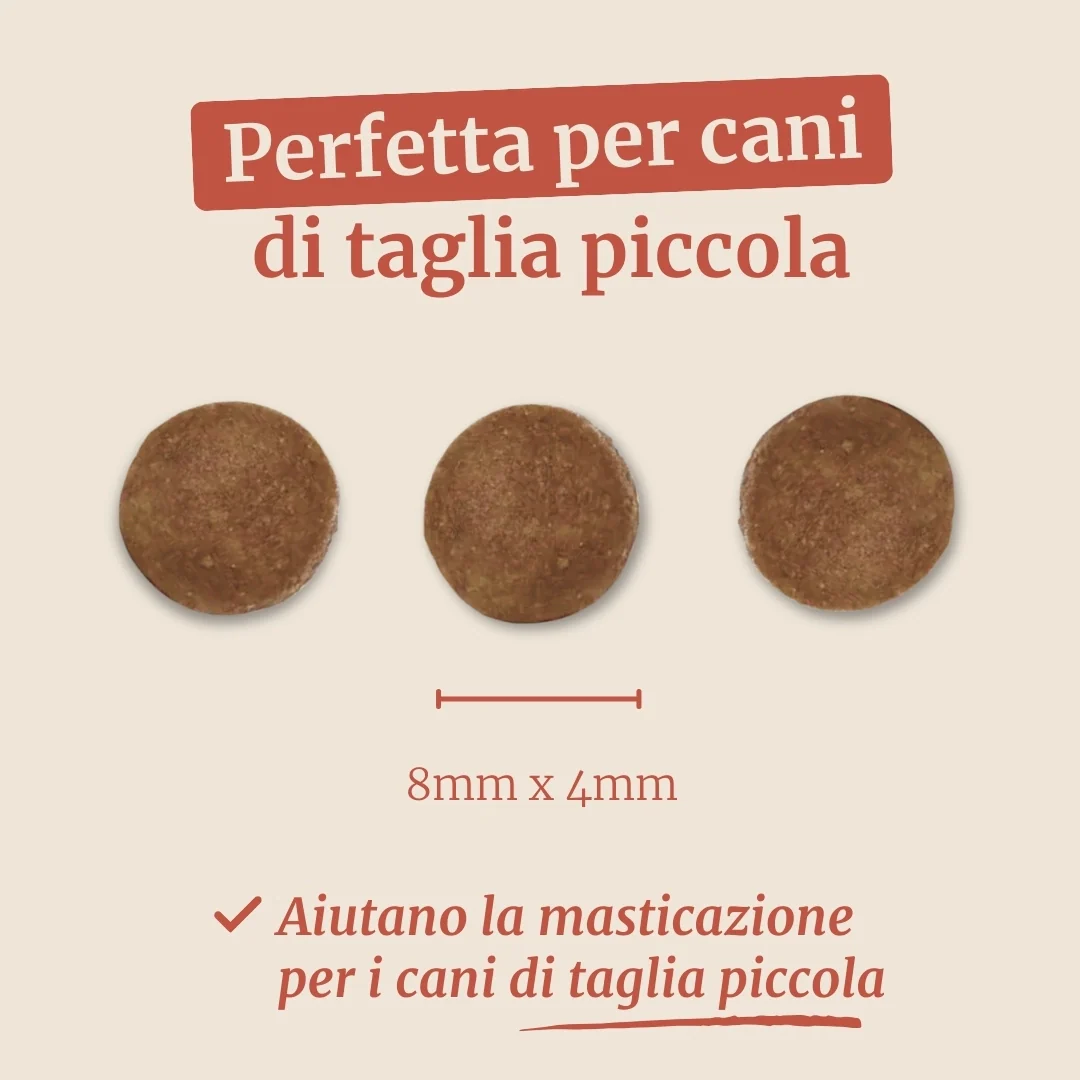 Immagine prodotto 7