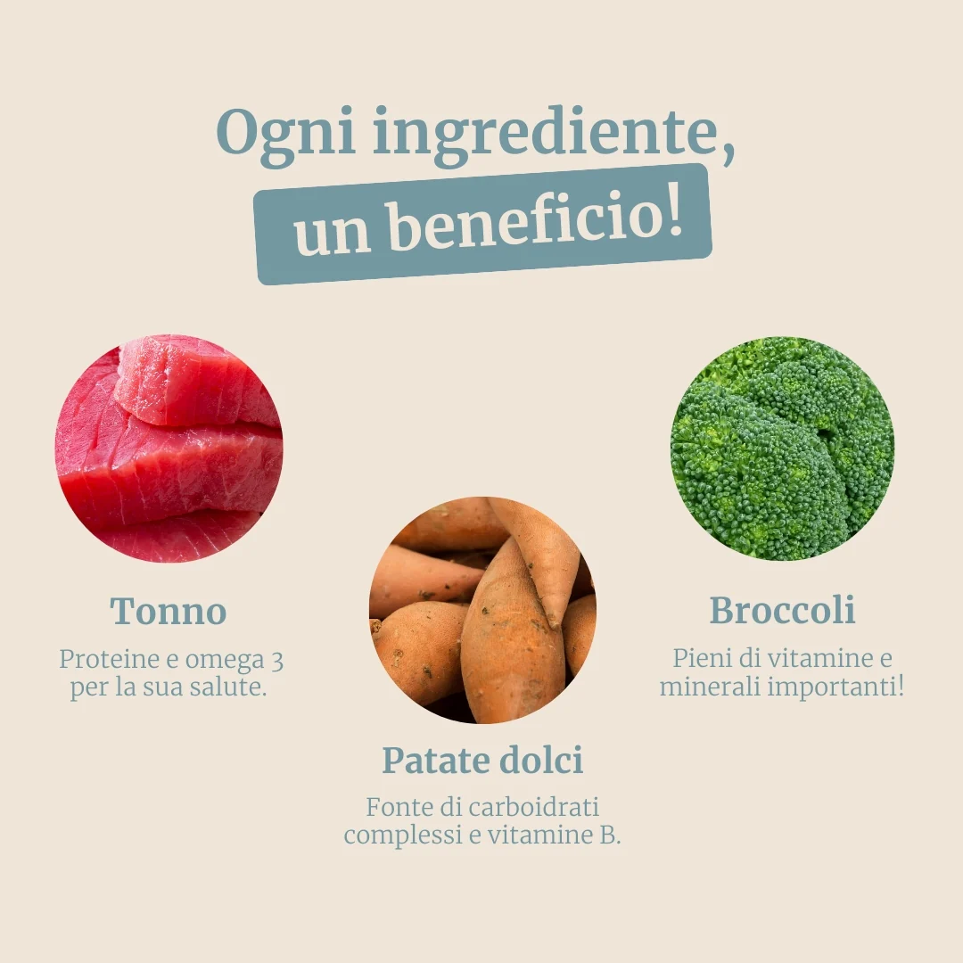 Immagine prodotto 3
