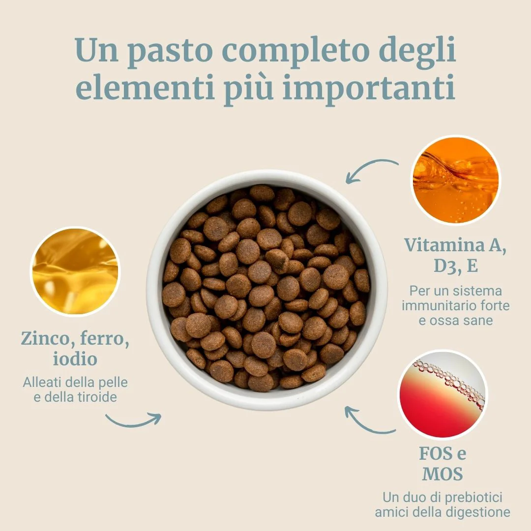 Immagine prodotto 4