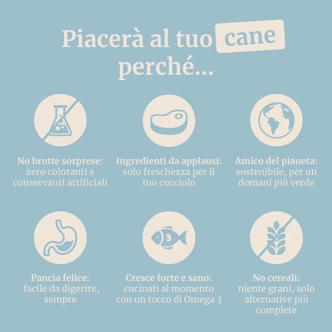 Immagine prodotto 6