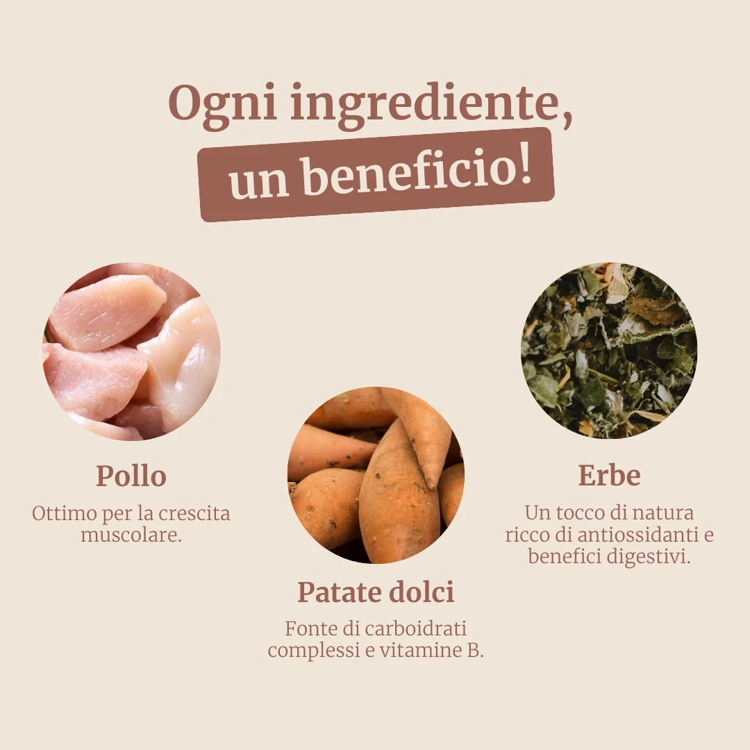 Immagine prodotto 3