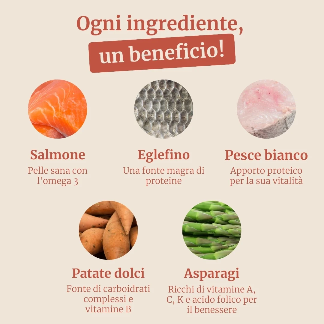 Immagine prodotto 3