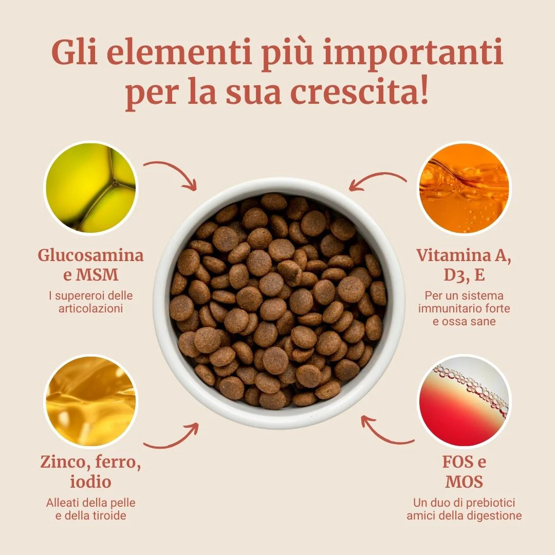 Immagine prodotto 4