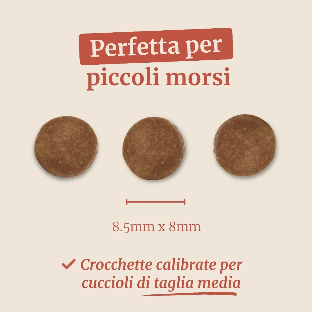 Immagine prodotto 7