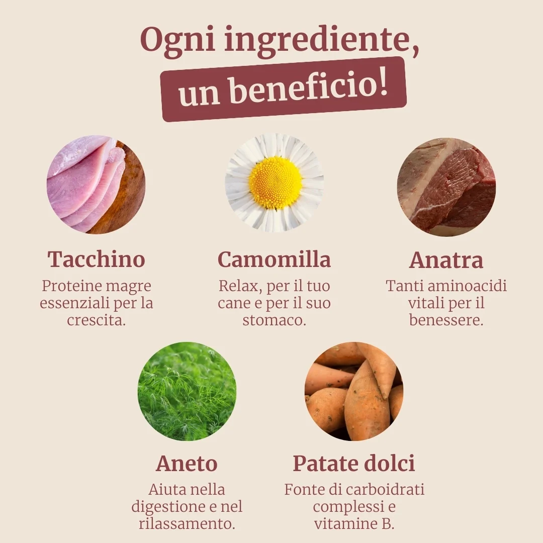 Immagine prodotto 3