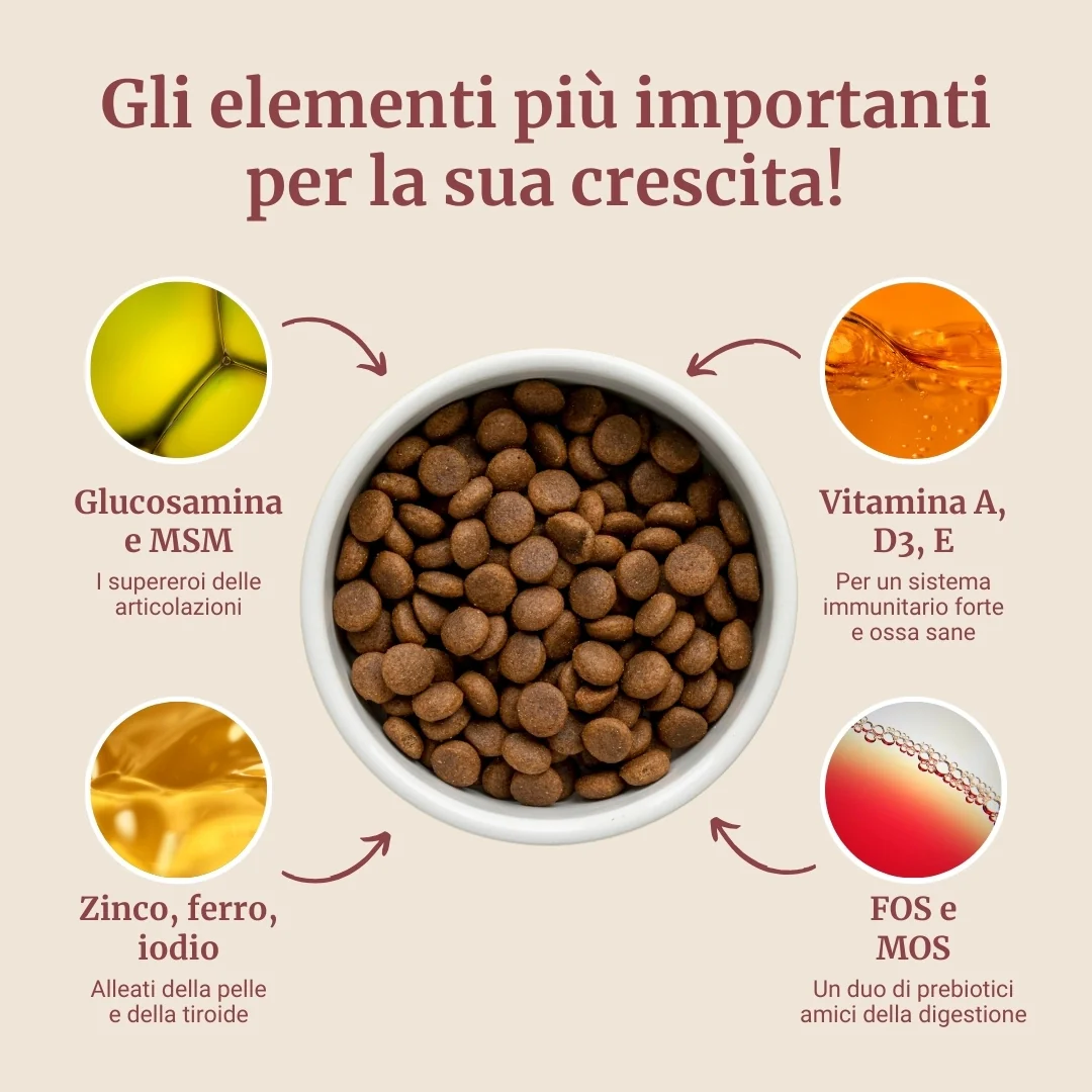 Immagine prodotto 4