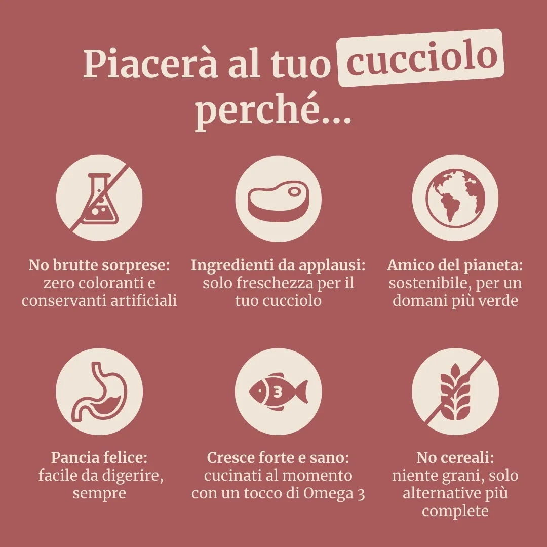 Immagine prodotto 6