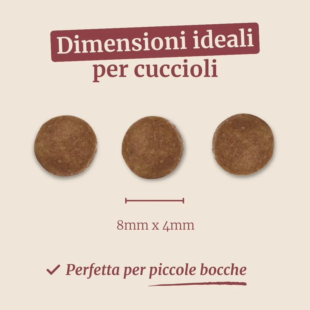 Immagine prodotto 7