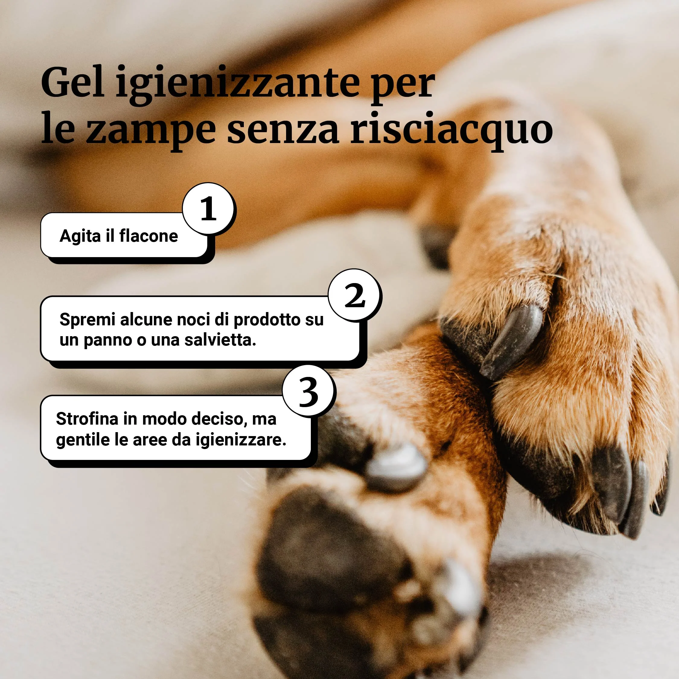Immagine prodotto 6