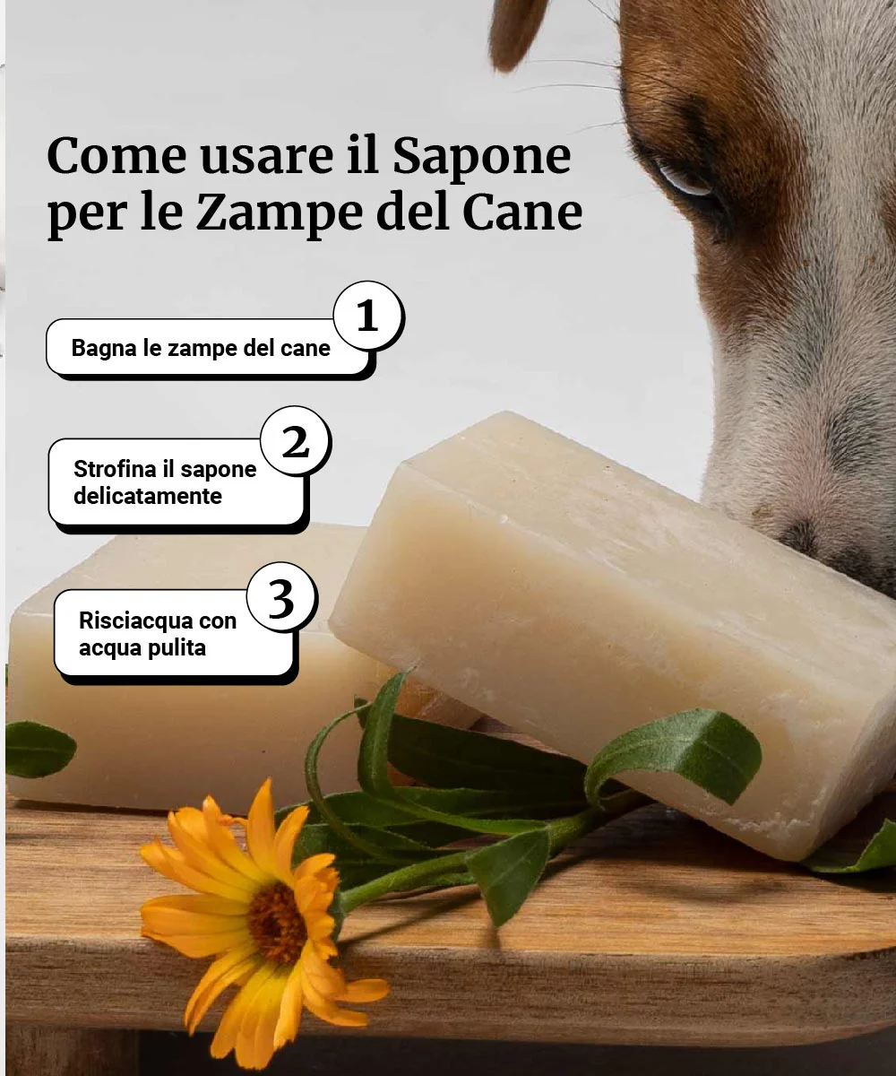 Immagine prodotto 6
