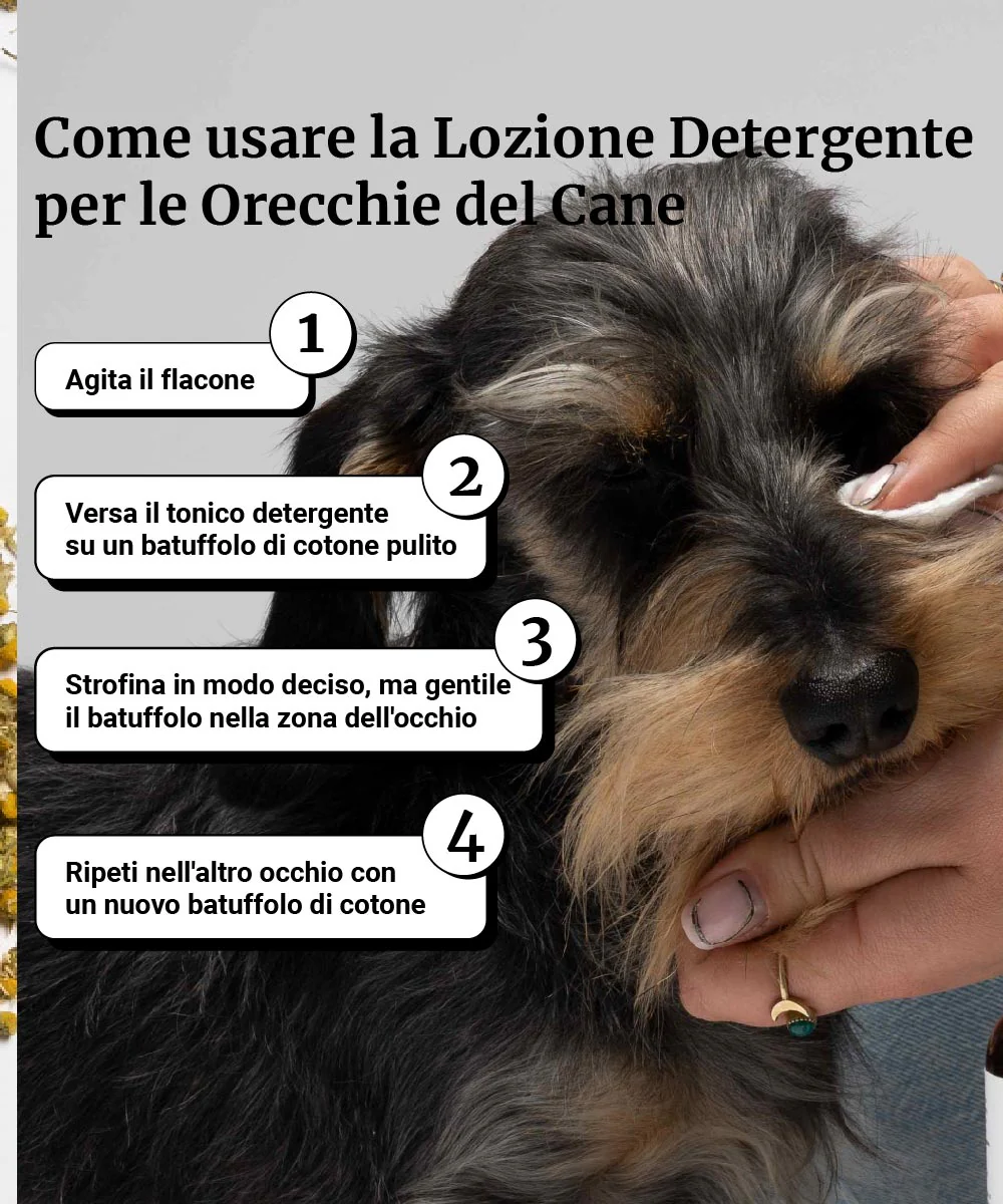 Immagine prodotto 6